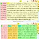 대학원-한국언어문화사-기말 보고서 이미지