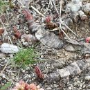 대구광역시 북구 어울아트센터 이미지