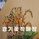 경기꽃직매장