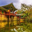 순천-42호 이미지