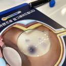 글라스미 렌즈미 창원용호점 이미지