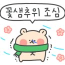 비에이치씨창원 네이버블로그
