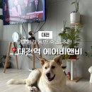 서린장 | [대전] 대전역 성심당 근처 애견동반 숙소 추천 (feat. 에어비앤비)