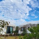 갤러리하우스 이미지