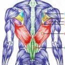 JP PT Studio 이미지