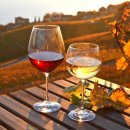 소믈리에 와인 클래스 이미지