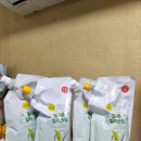 친환경 엘샤론