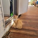 미로공원 화장실 이미지