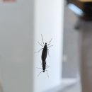 낙엽커피숍 이미지