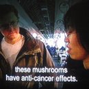 영국2농장 이미지