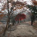 동굴유원지