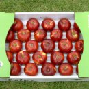 벽천농장 이미지