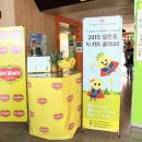 풍납색연필