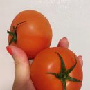 희원농원