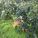 지성농장 이미지