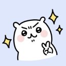 대천동물병원 이미지