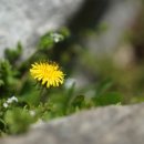 민들레어린이공원 이미지