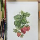 색연필로 그리는 풍경화 이미지