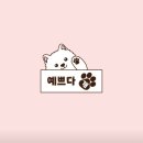 예쁘다 개 이미지