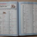 초급필수 영단어 암기 이미지