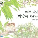 자라는 씨앗 이미지