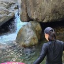 사지목나무그늘 이미지