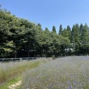 예산목장 이미지