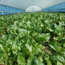 다감농장 이미지