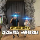 월미로3 | 와일드벅스 곤충탐험대 솔직후기 | 주변식당정보 | 인천아이와가볼만한곳