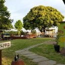 나무집 펜션 이미지