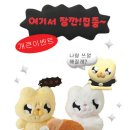 에이치앤에프 네이버블로그