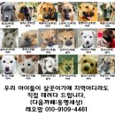 안산초지역 골프연습장 주차장 밑쪽에는 개농장이 있었습니다. 이미지