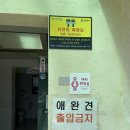GS25장호항점 네이버블로그