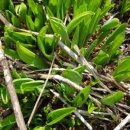 시우네농장 이미지