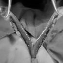 새롬동물병원 이미지