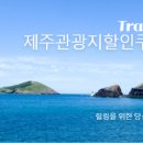 대한렌트카주 이미지