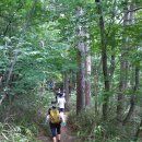 지리산거림계곡 이미지