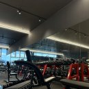 아레나 휘트니스 이미지