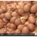 미림농장영농조합법인 이미지