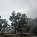 7월의 설악산, 한계령-끝청-중청-대청봉-오색 등산 후기