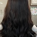 띠용헤어