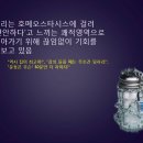 호메오 이미지