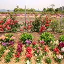 가야농장 이미지