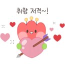 사계절 피부샵 이미지