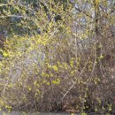 산천공인중개사사무소 이미지