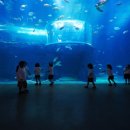 아쿠아플라넷 여수 이미지