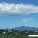 고팡하우스 이미지