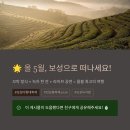 한국차문화공원 | 완벽 가이드일정·초대가수·체험·가는길 총정리전남 보성 한국차문화공원 · 5월 녹차밭 축제의 모든 것