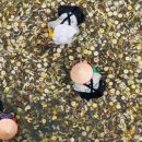 그린크리닝 이미지