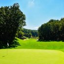 영동 일라이트CC 이미지